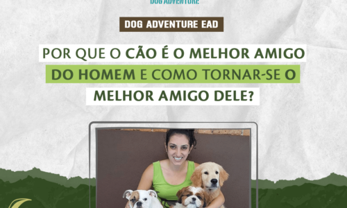 Porque o cão é o melhor amigo do homem? Como tornar-se o melhor amigo dele também? / 1 hora