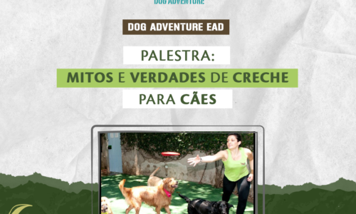 miniatura do curso