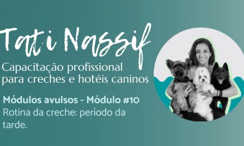 Módulo#10: Rotina da creche: período da tarde (Avulso)