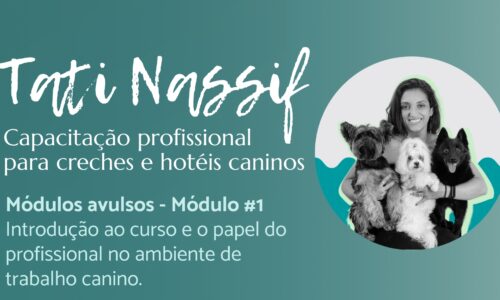 Módulo#1: Introdução ao curso e o papel do profissional no ambiente de trabalho canino. (Avulso)