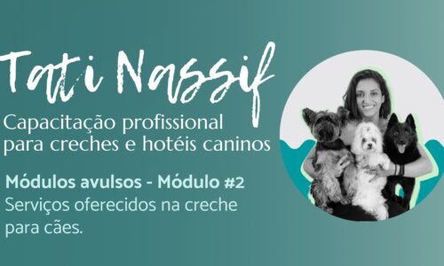 Módulo#2: Serviços oferecidos na creche para cães. (Avulso)