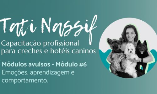 Módulo#6: Emoções, aprendizagem e comportamento (Avulso)