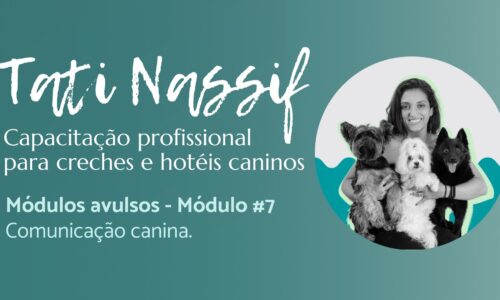 miniatura do curso