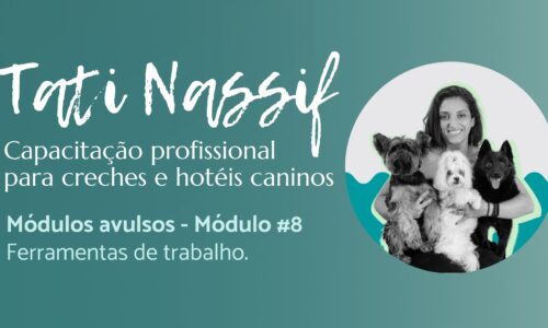 miniatura do curso
